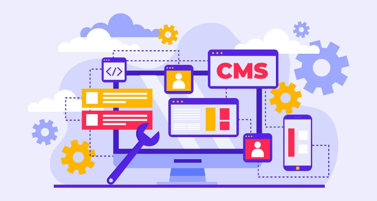 CMS Web Development Services in Delhi