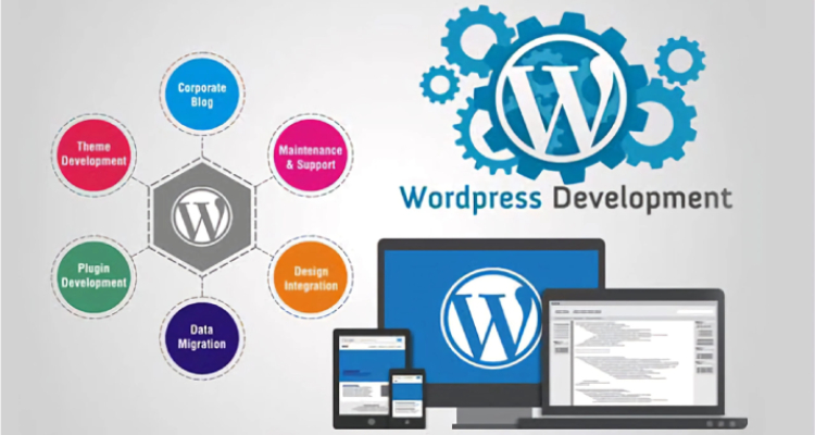 WordPress Web Development Company in Delhi