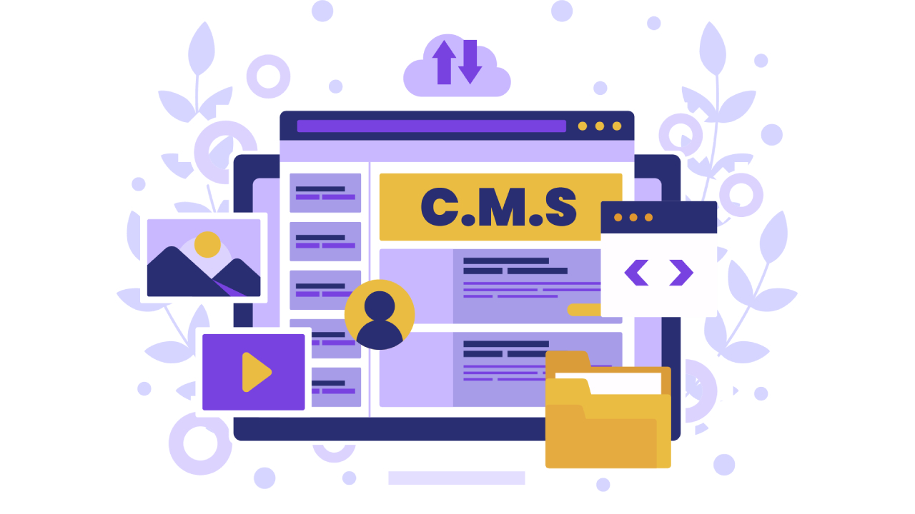 CMS web development in Jodhpur Rural