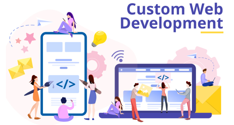 Customized Web Development Company in Delhi