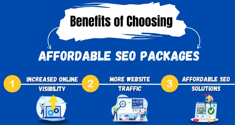 Affordable SEO Packages in Delhi